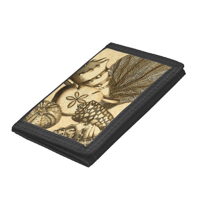 Neutral Shells and Coral Collection Tri-fold Wallet (Bottom)