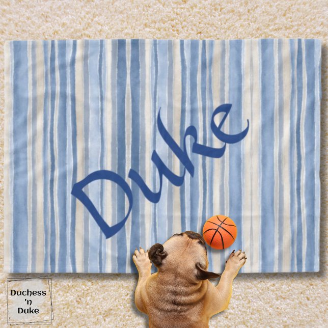 Neutral Striped Pattern Blue Beige Pet Blanket  (Neutral Striped Pattern Blue Beige Pet Blanket)