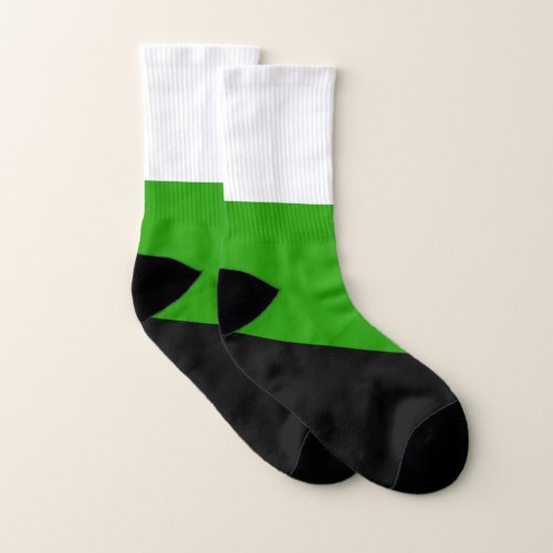 Neutrois Pride Flag Socks