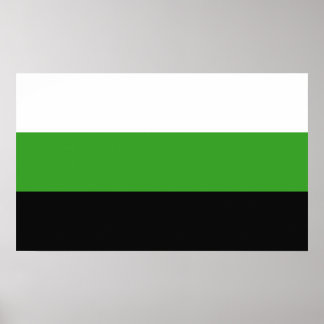 Neutrois Pride Poster