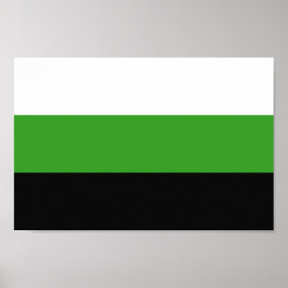 Neutrois Pride Poster