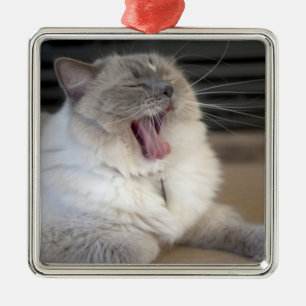 Neva Masquerade cat yawning Metal Ornament