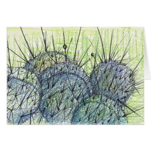 Nevada Desert Cactus Plant Drawing Cards (Front Horizontal)