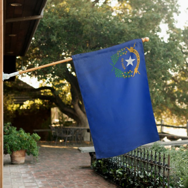 Nevada House Flag (In SItu)