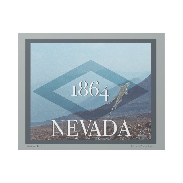 Nevada Landscape Poster (Front)