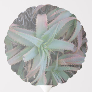Nevada succulents balloon