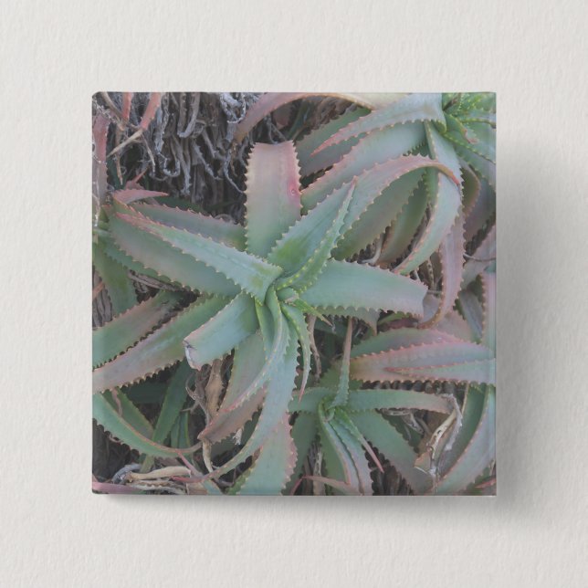 Nevada succulents button (Front)