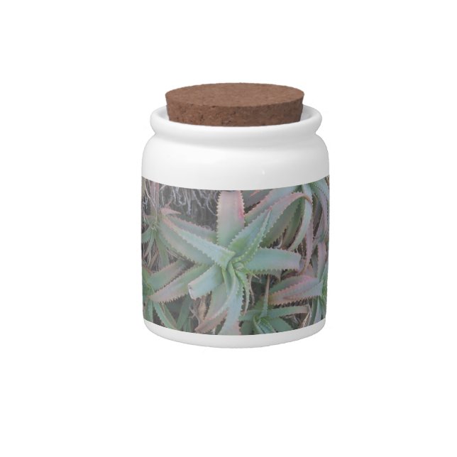 Nevada succulents      candy jar (Front)