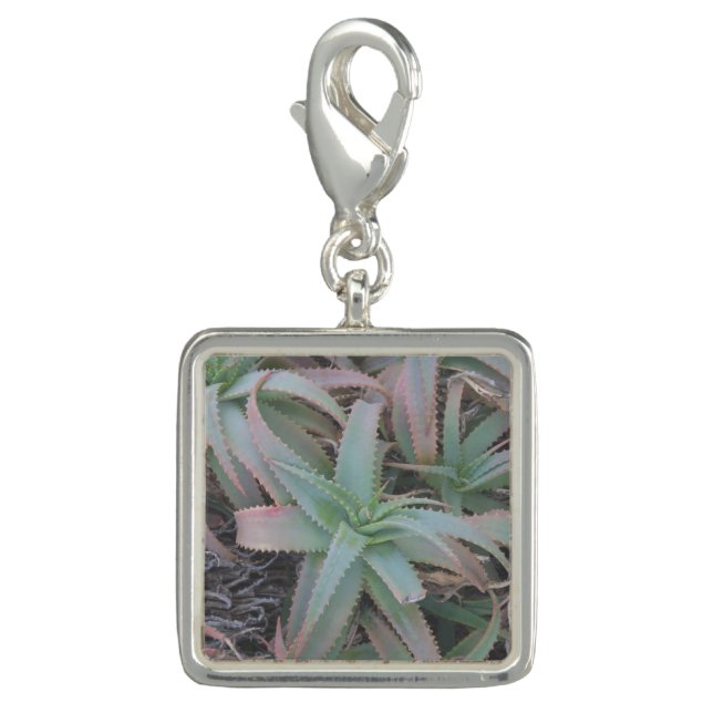 Nevada succulents        charm (Front)