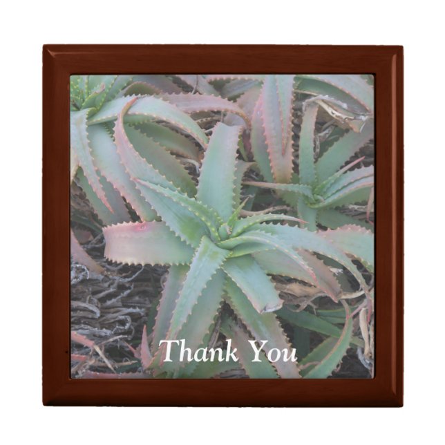 Nevada succulents         gift box (Front)