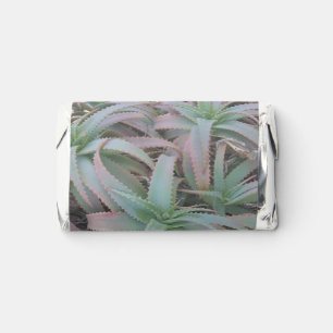 Nevada succulents        hershey's miniatures