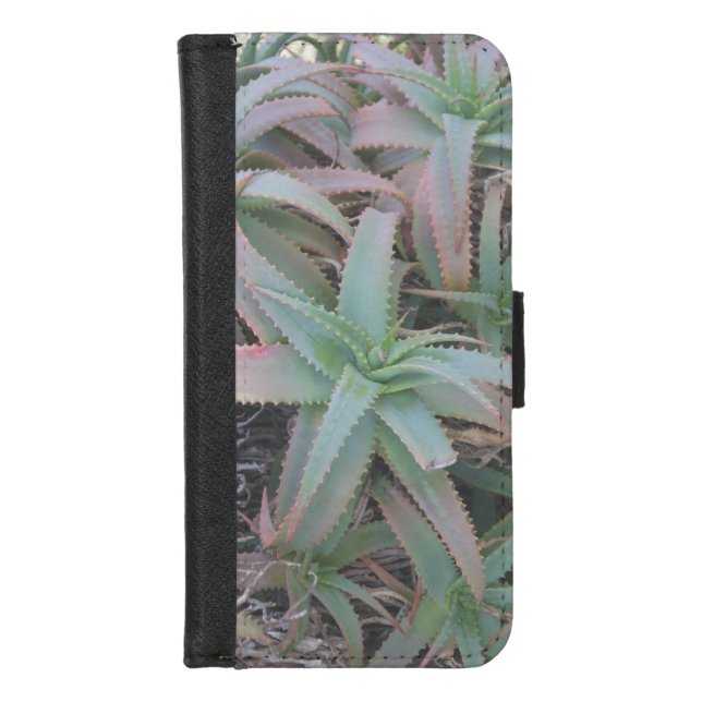 Nevada succulents          iPhone wallet case (Front)
