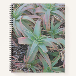 Nevada succulents     notebook