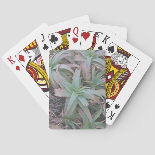 Nevada succulents           poker cards (Back)