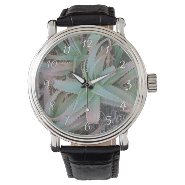 Nevada succulents           watch (Front)