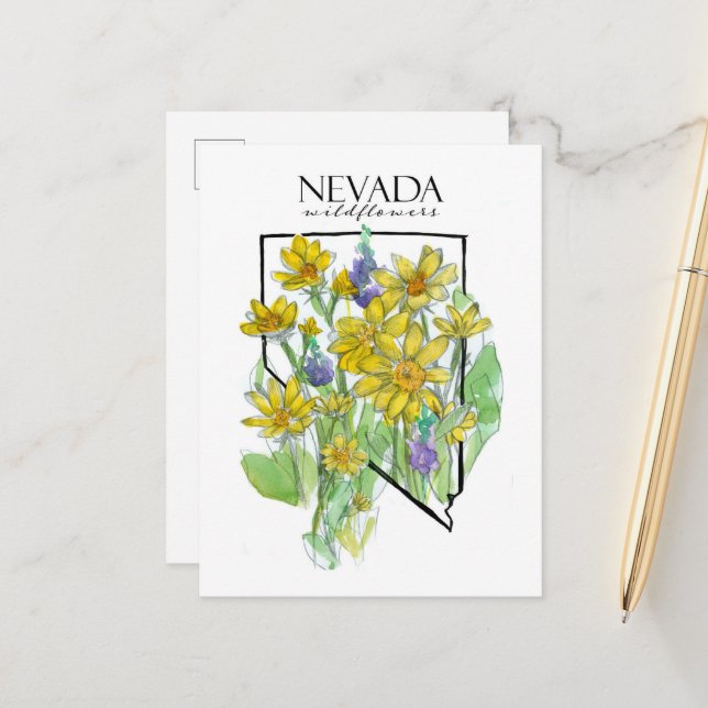 Nevada Wildflowers Purple Lupines Balsamroot Postcard (Front/Back In Situ)