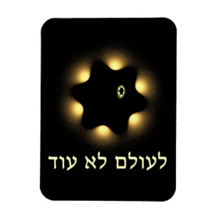 Never Again Fractal Star Of David Magnet