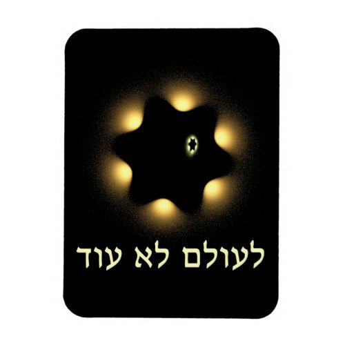 Never Again Fractal Star Of David Magnet