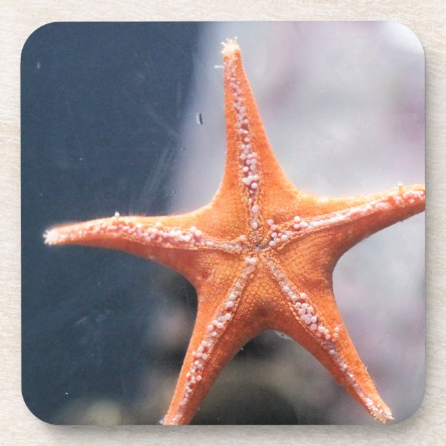 Never ask a star fish directions beverage coaster (Front)
