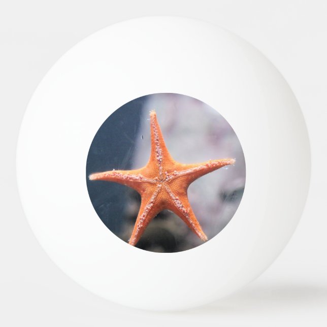 Never ask a star fish directions Ping-Pong ball (Front)
