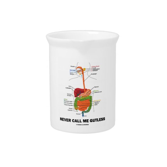 Never Call Me Gutless (Digestive System Humor) Drink Pitcher