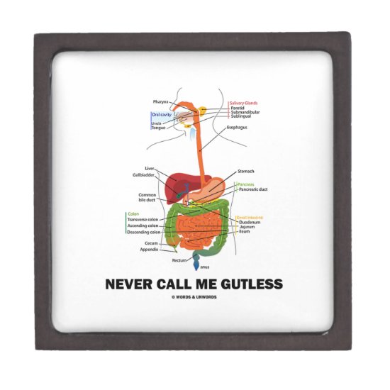 Never Call Me Gutless (Digestive System Humor) Keepsake Box