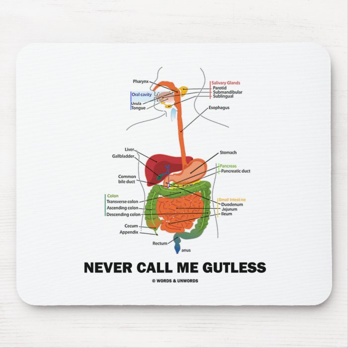 Never Call Me Gutless (Digestive System Humor) Mouse Pad