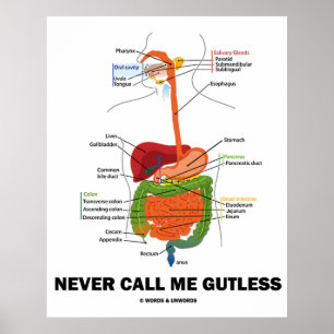 Never Call Me Gutless (Digestive System Humor) Poster