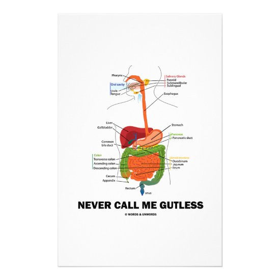 Never Call Me Gutless (Digestive System Humor) Stationery
