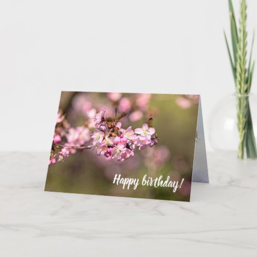 Never Ending Beauty Of Sakura Cherry Blossoms Card