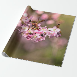 Never Ending Beauty Of Sakura Cherry Blossoms Wrapping Paper