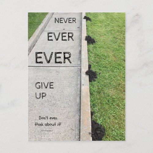 Never Ever Give Up Postcard