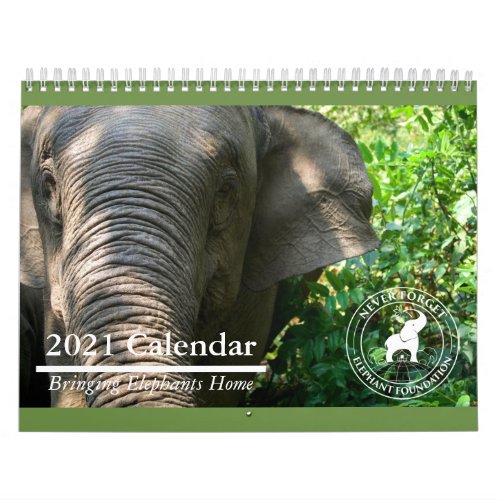 Never Forget Elephant Foundation 2021 Calendar