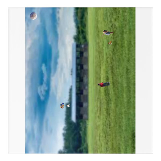 Never Give a Baby Helium Balloons Acrylic Wall Art (Front)