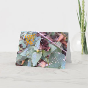 Never Give Up Butterfly Greeting Card