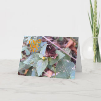 Never Give Up Butterfly Greeting Card