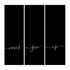 Never Give Up Calligraphy Quote Black White Triptych