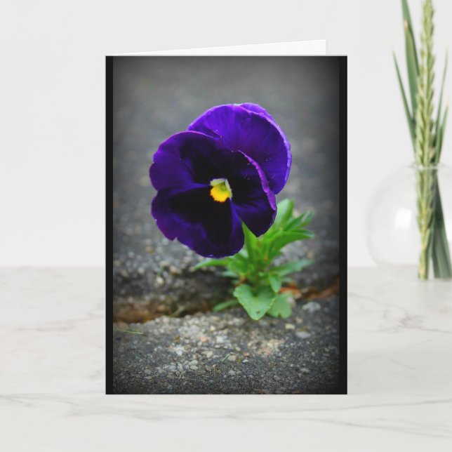 Never Give Up! Card (Front)