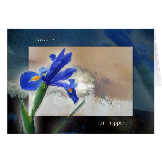 Never Give Up Cards (Front Horizontal)