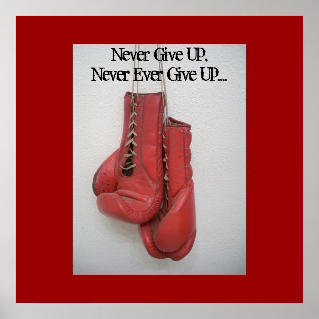 Never Give Up,Never Ever Give Up.... Poster (Front)