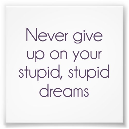 Never Give Up On Your Stupid Dreams Photo Print