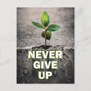 Never Give Up Postcard