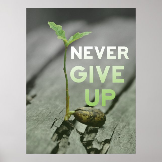 Never Give up Poster (Front)