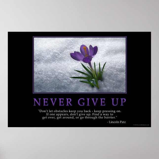 Never Give Up Poster (Front)