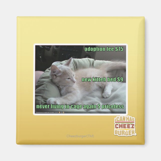 Never living in a cage again magnet (Front)