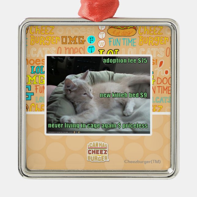 Never living in a cage again metal ornament (Front)