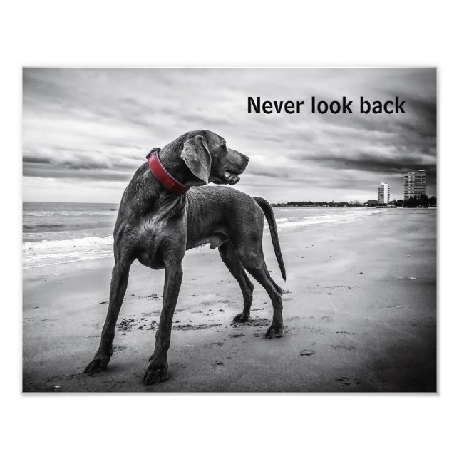 Never look back photo print (Front)