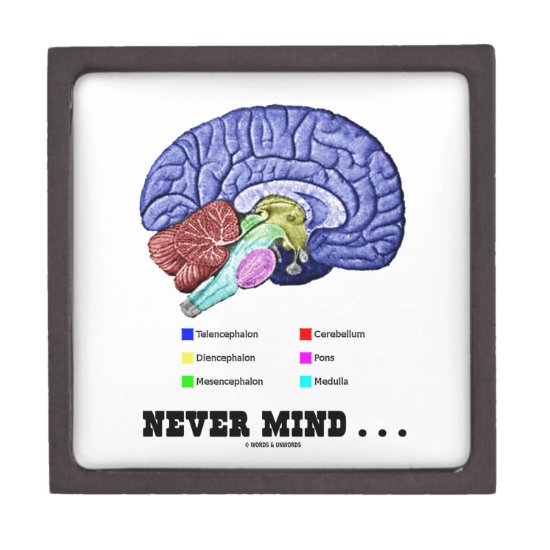 Never Mind ... (Brain Anatomy Psyche Humor) Keepsake Box