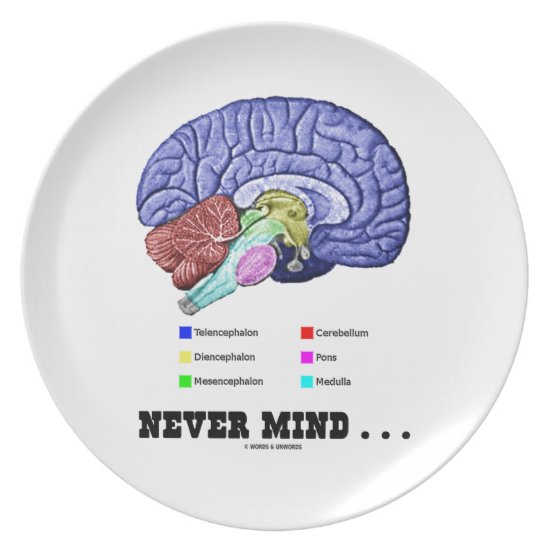 Never Mind ... (Brain Anatomy Psyche Humor) Plate