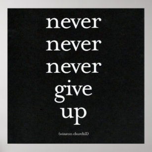 Never, Never Give Up Poster